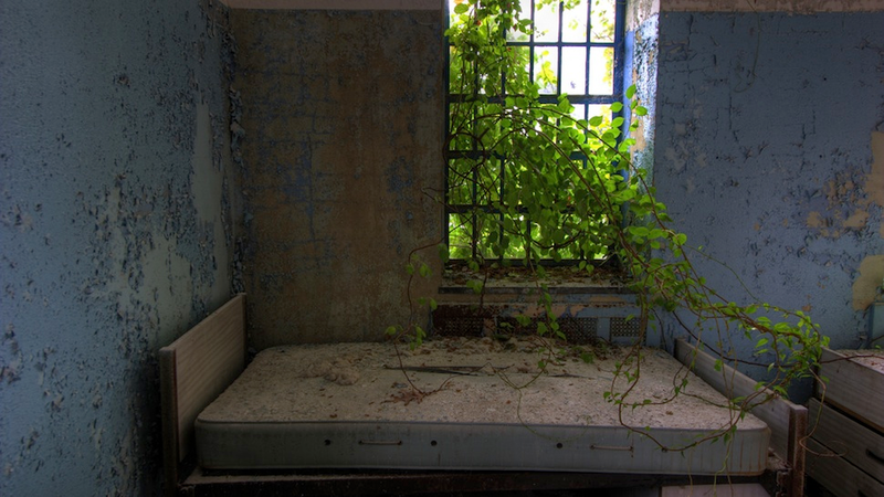 Illustration for article titled The Creepy World of Abandoned Asylums